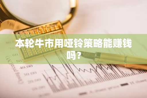 本轮牛市用哑铃策略能赚钱吗？