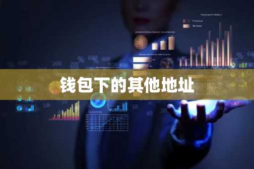 钱包下的其他地址