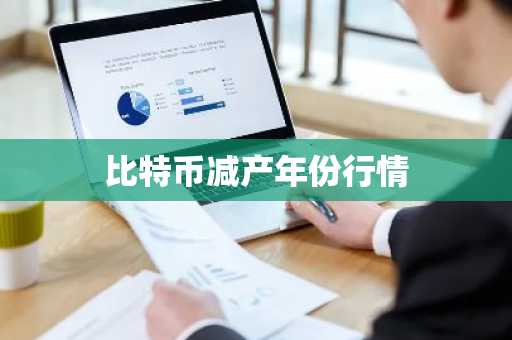 比特币减产年份行情