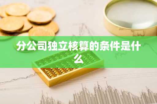 分公司独立核算的条件是什么