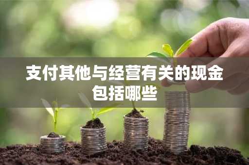 支付其他与经营有关的现金包括哪些