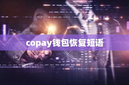 copay钱包恢复短语