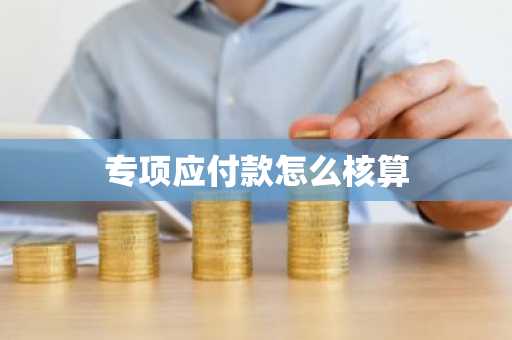 专项应付款怎么核算