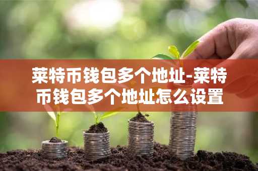 莱特币钱包多个地址-莱特币钱包多个地址怎么设置