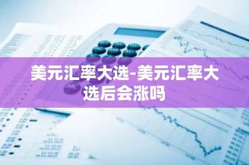 美元汇率大选-美元汇率大选后会涨吗