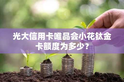 光大信用卡唯品会小花钛金卡额度为多少？