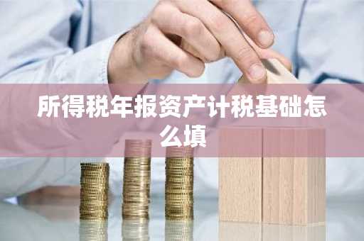 所得税年报资产计税基础怎么填