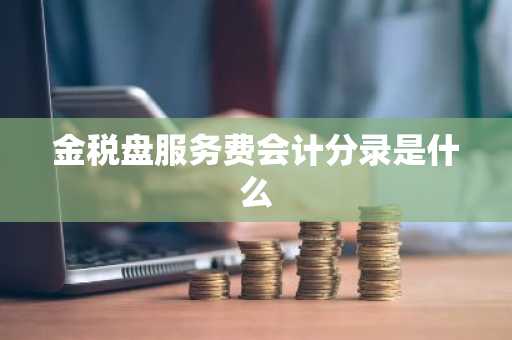 金税盘服务费会计分录是什么