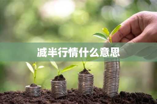 减半行情什么意思