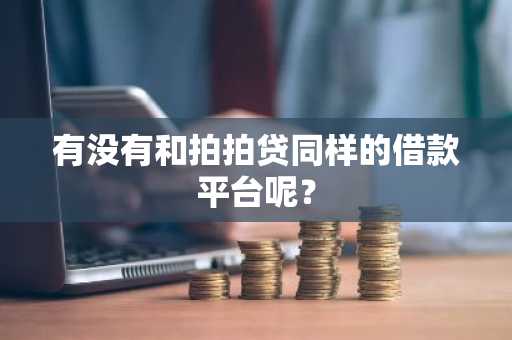 有没有和拍拍贷同样的借款平台呢？