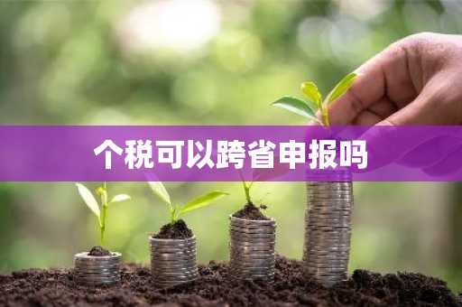 个税可以跨省申报吗