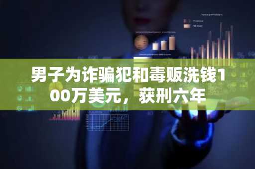 男子为诈骗犯和毒贩洗钱100万美元，获刑六年