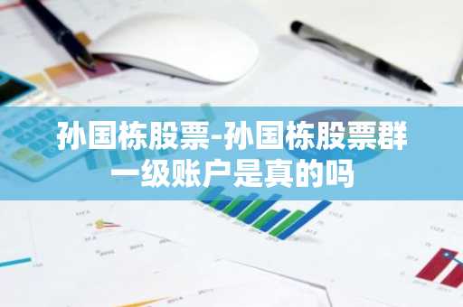 孙国栋股票-孙国栋股票群一级账户是真的吗