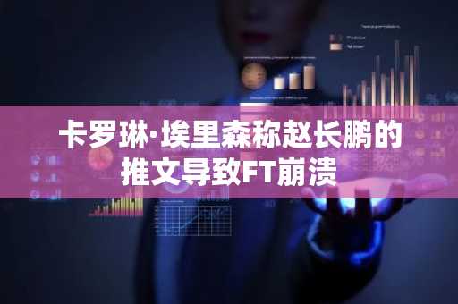 卡罗琳·埃里森称赵长鹏的推文导致FT崩溃