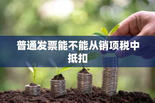普通发票能不能从销项税中抵扣