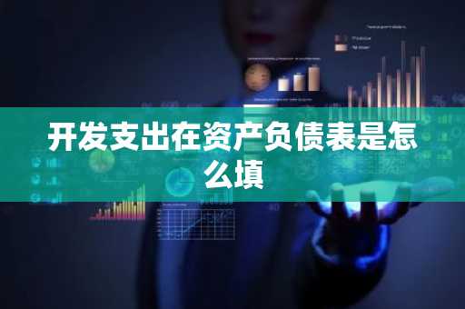 开发支出在资产负债表是怎么填