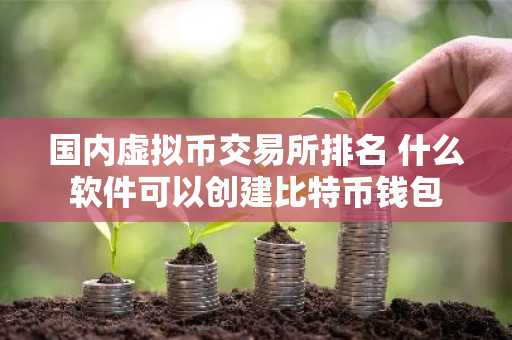 国内虚拟币交易所排名 什么软件可以创建比特币钱包