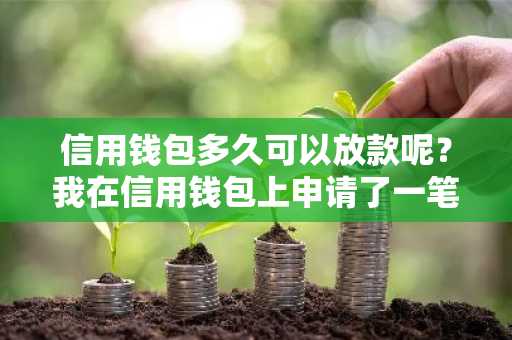 信用钱包多久可以放款呢？我在信用钱包上申请了一笔借款，一下午过去没有反应。