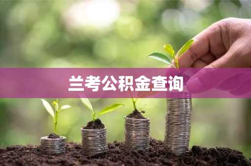 兰考公积金查询