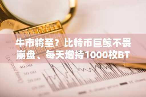 牛市将至？比特币巨鲸不畏崩盘、每天增持1000枚BTC