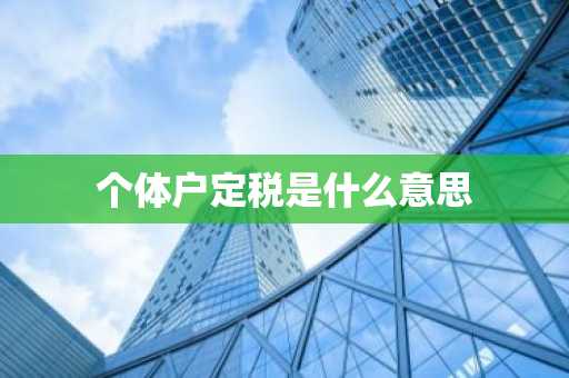个体户定税是什么意思