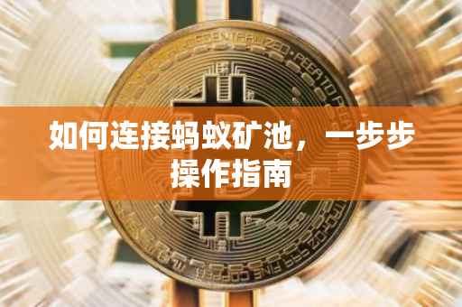 如何连接蚂蚁矿池，一步步操作指南