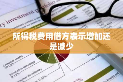 所得税费用借方表示增加还是减少