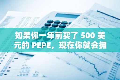 如果你一年前买了 500 美元的 PEPE，现在你就会拥有这个