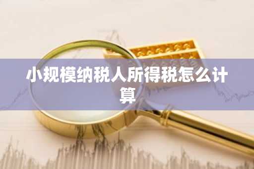 小规模纳税人所得税怎么计算