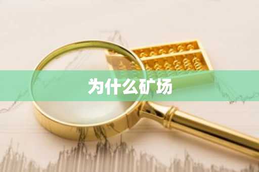 为什么矿场