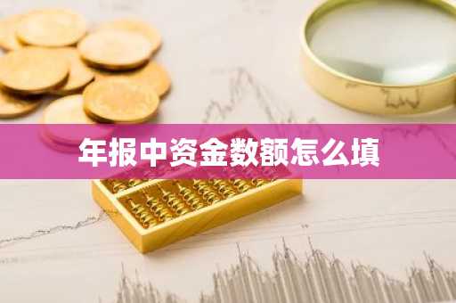 年报中资金数额怎么填