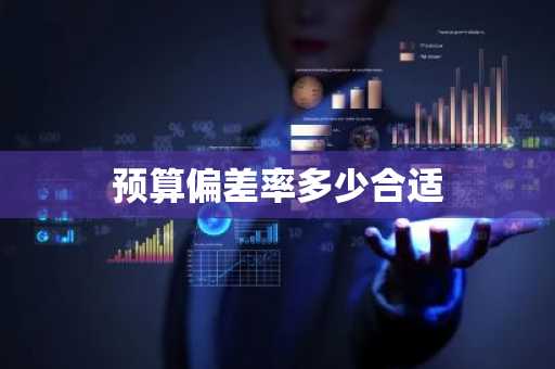 预算偏差率多少合适