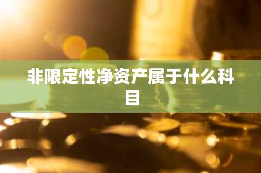 非限定性净资产属于什么科目