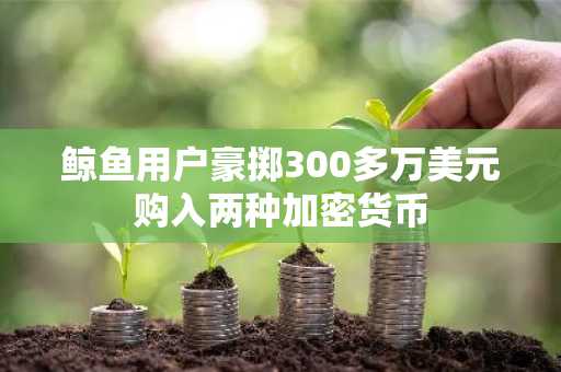 鲸鱼用户豪掷300多万美元购入两种加密货币