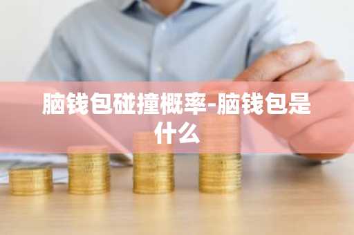 脑钱包碰撞概率-脑钱包是什么