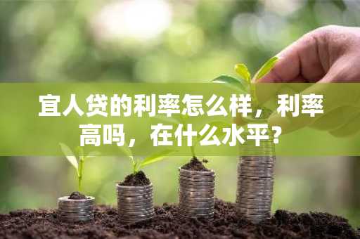 宜人贷的利率怎么样，利率高吗，在什么水平？