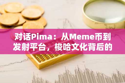 对话Pima：从Meme币到发射平台，梭哈文化背后的投资逻辑