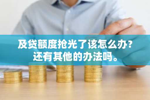 及贷额度抢光了该怎么办？还有其他的办法吗。