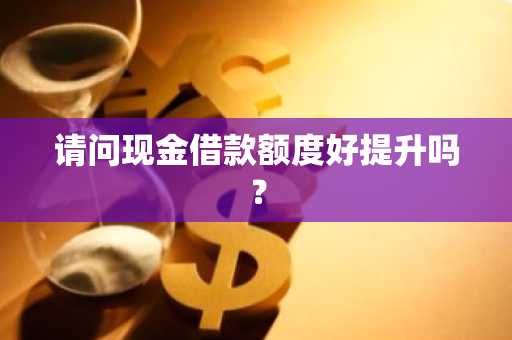 请问现金借款额度好提升吗？