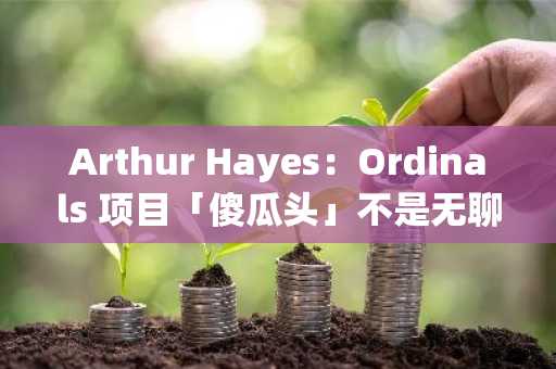 Arthur Hayes：Ordinals 项目「傻瓜头」不是无聊的老套路