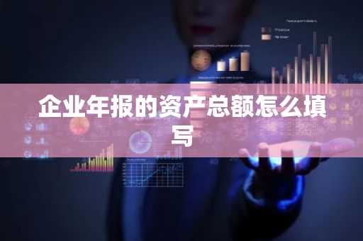 企业年报的资产总额怎么填写