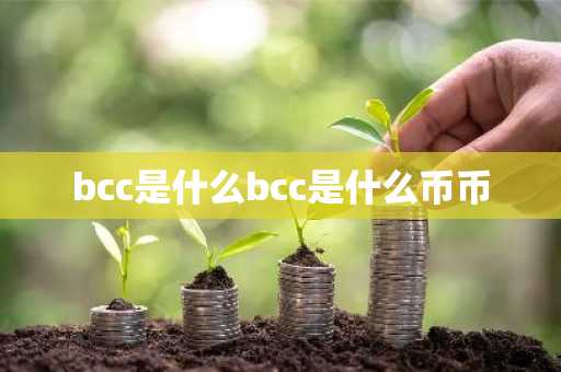 bcc是什么bcc是什么币币