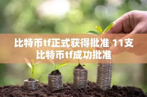 比特币tf正式获得批准 11支比特币tf成功批准