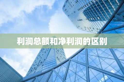 利润总额和净利润的区别