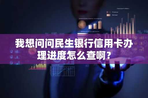 我想问问民生银行信用卡办理进度怎么查啊？