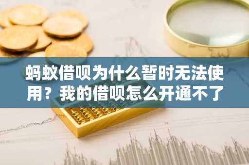 蚂蚁借呗为什么暂时无法使用？我的借呗怎么开通不了啊，我还想借钱呢。