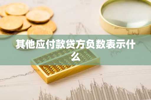 其他应付款贷方负数表示什么
