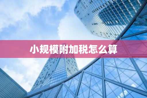 小规模附加税怎么算