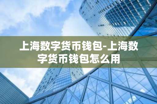 上海数字货币钱包-上海数字货币钱包怎么用
