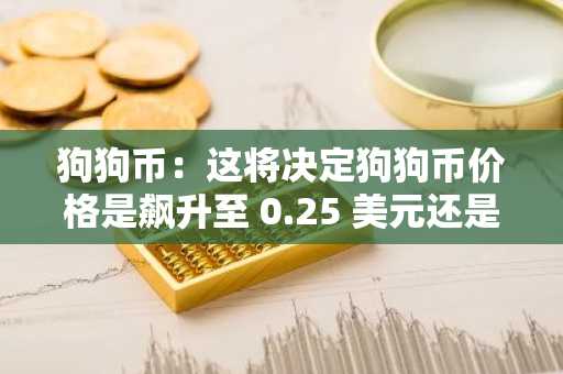 狗狗币：这将决定狗狗币价格是飙升至 0.25 美元还是下跌